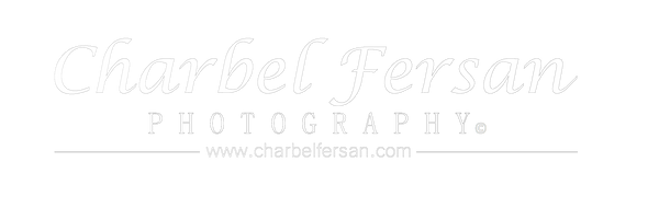 Charbel Fersan Photography 